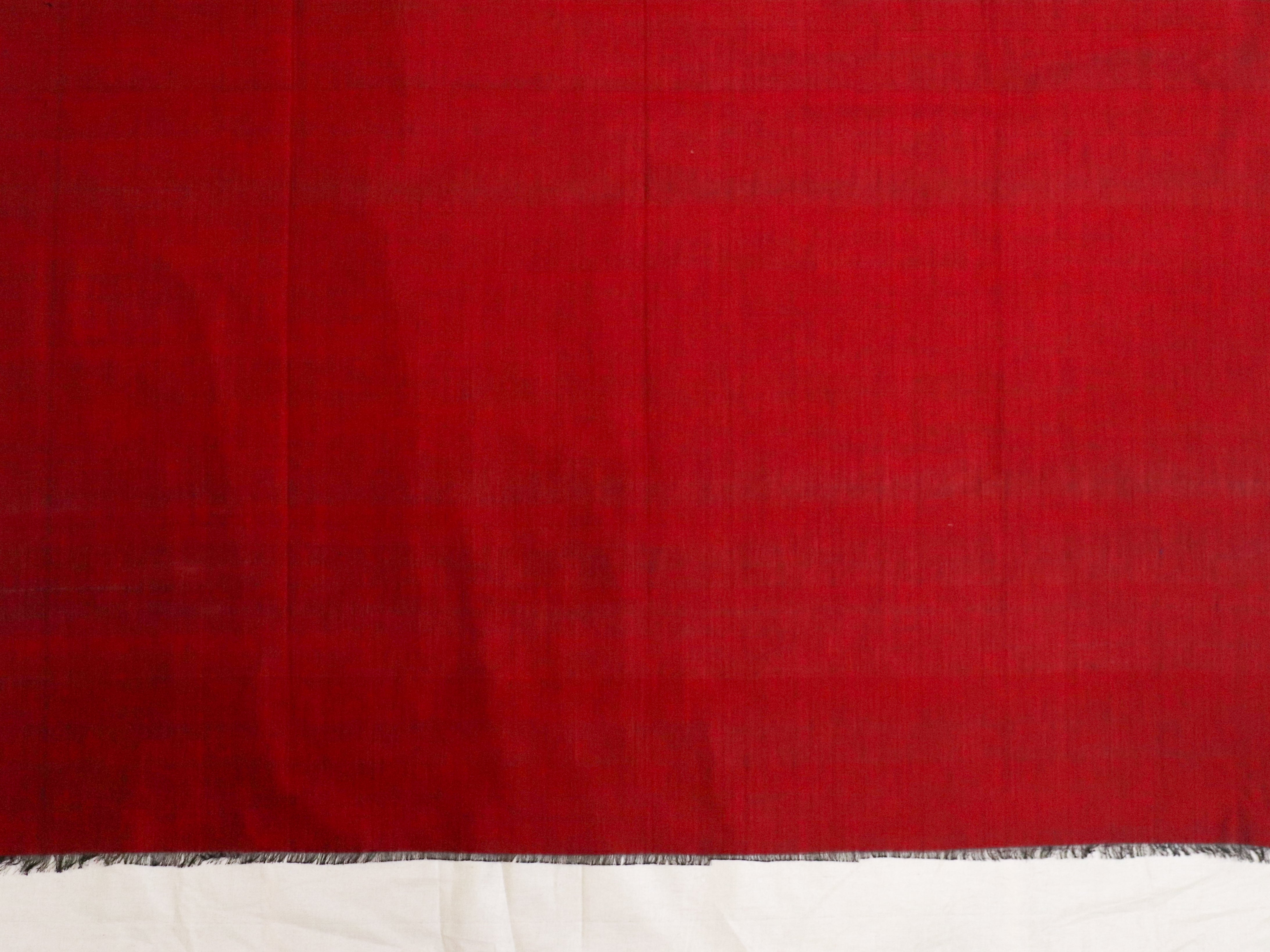 Pochampally Ikkat Saree # 55