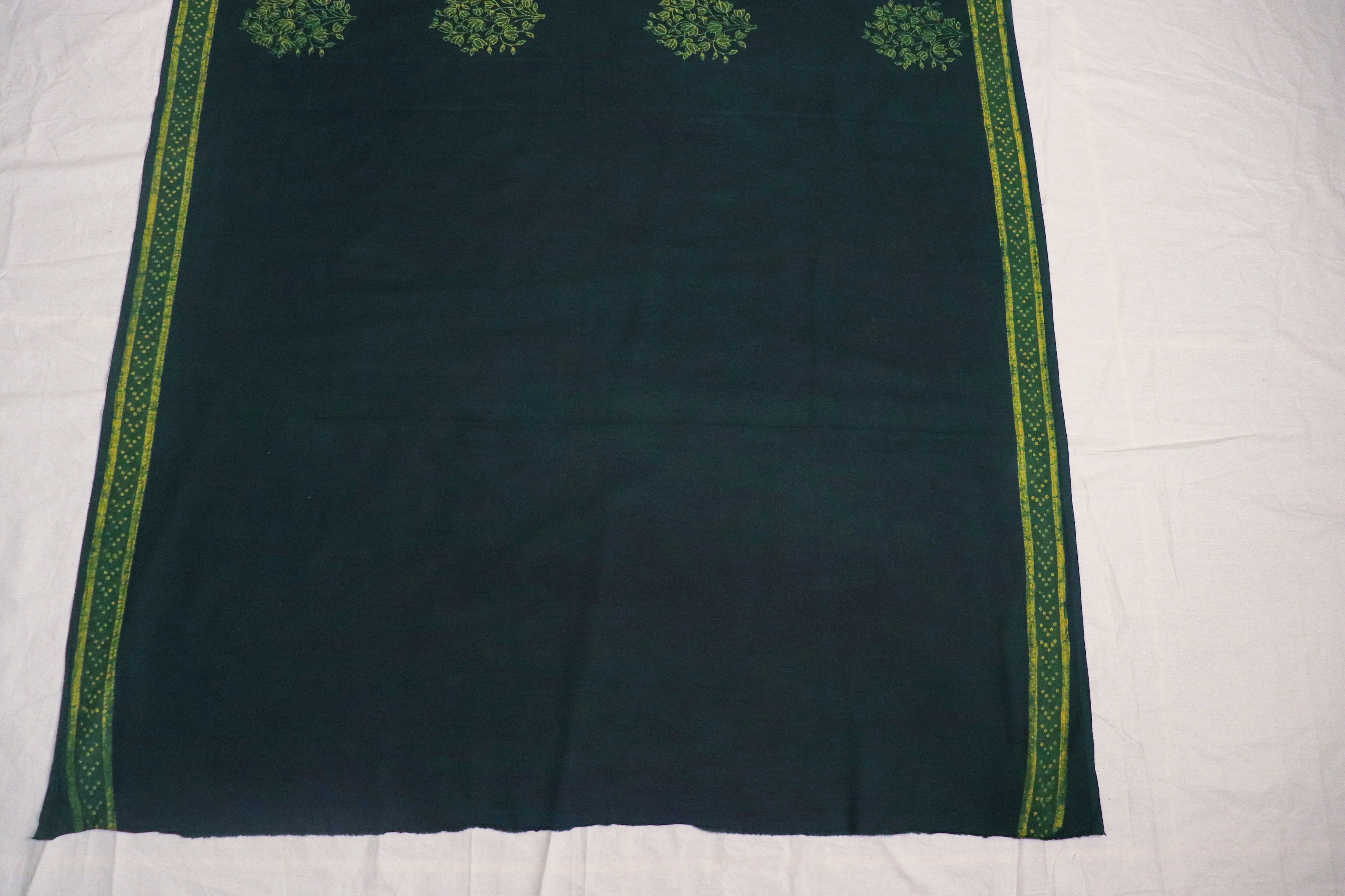 Akola Blockprinted Cotton Saree #72